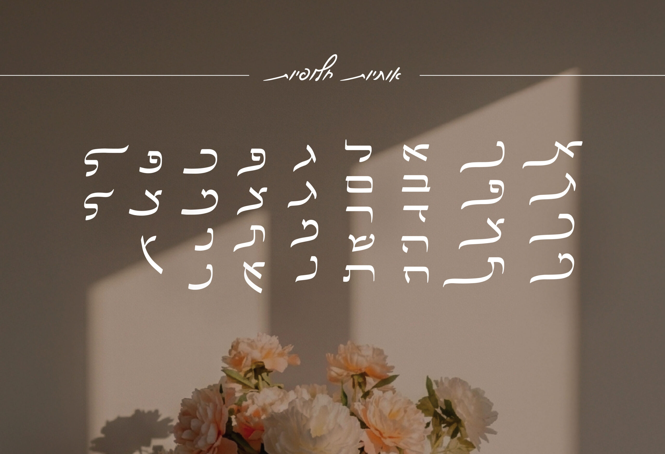 אתר קאבר אביגיל-01