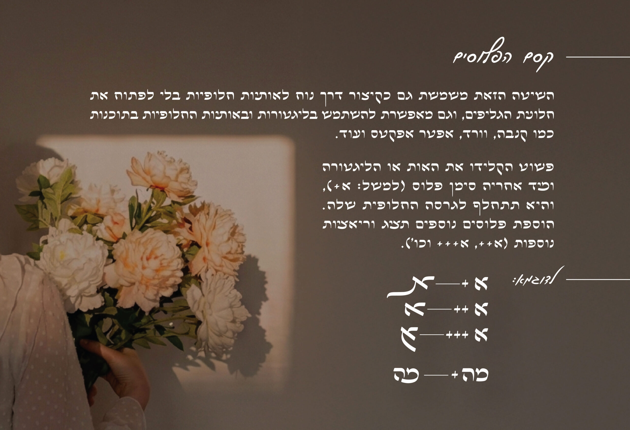 אתר קאבר אביגיל-03