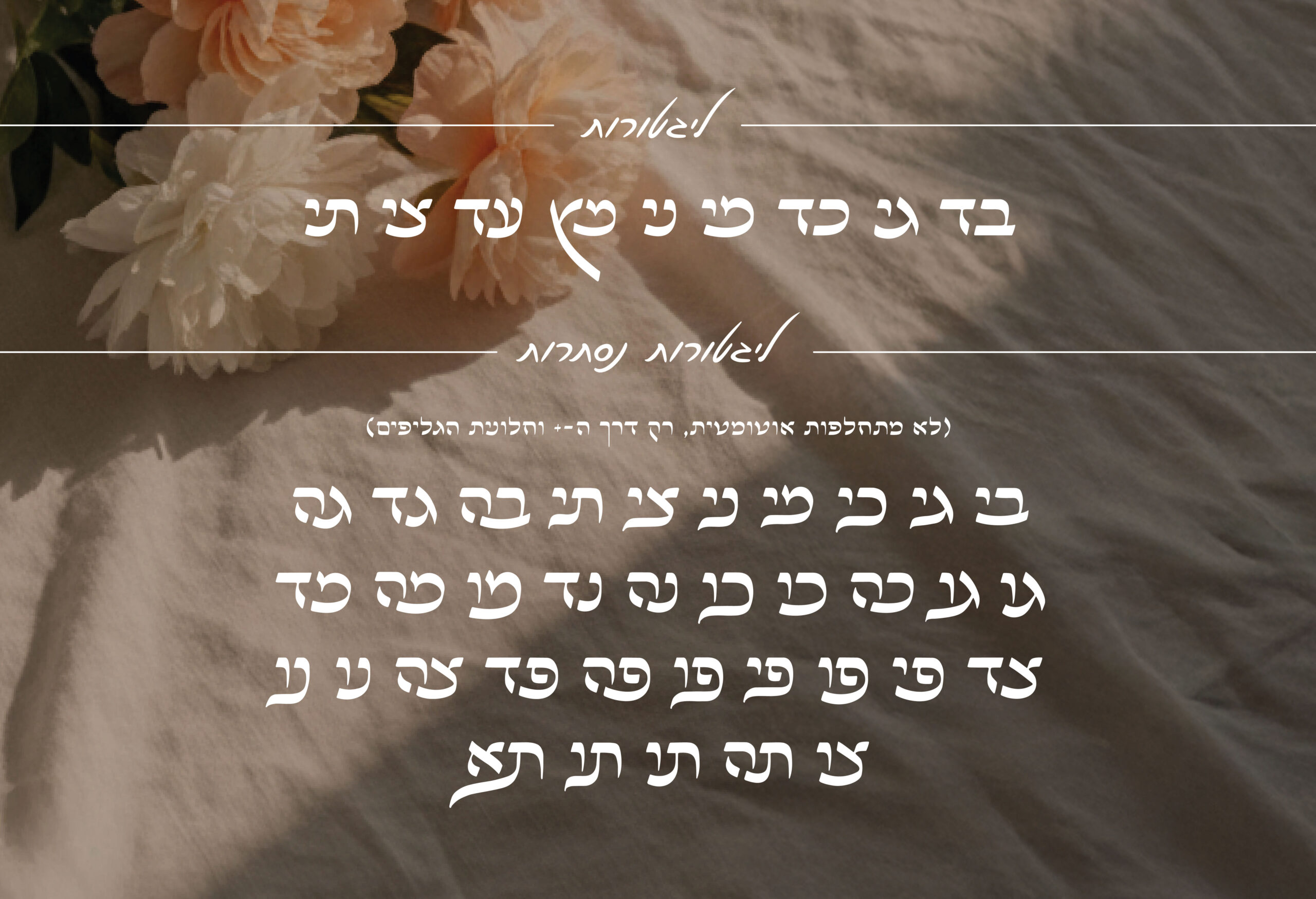 אתר קאבר אביגיל-05